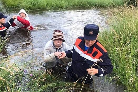 Спасатели вывели застрявших на острове в Рузском округе грибников