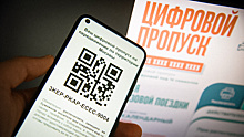 Власти Москвы уничтожат базу цифровых пропусков