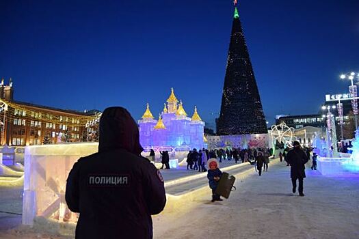 Казаки, народные дружины и полиция будут обеспечивать правопорядок в новогодние праздники на Среднем Урале