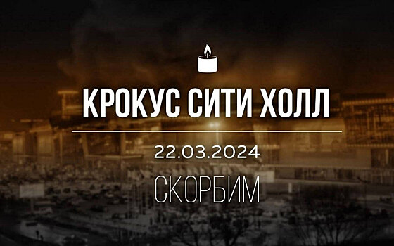 Федерация гандбола России сделает пожертвование семьям пострадавших при теракте в «Крокус Сити Холл»