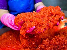 Эксперты не ожидают снижения цен на икру в ДФО из-за рекордного улова лосося на Камчатке
