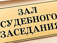 Виновник ДТП с двумя погибшими в Башкирии получил восемь лет тюрьмы