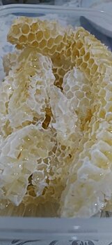 Житель Белой Холуницы пожаловался в полицию на соседских пчёл