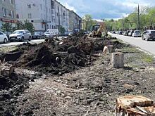 В Новокуйбышевске благоустраивают аллею по улице Пирогова