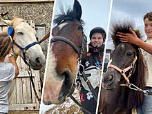 Истории россиян, которые спасли лошадь и не пожалели об этом