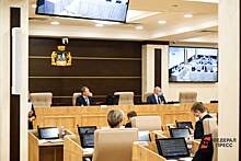​Депутаты Екатеринбурга утвердили членов городской общественной палаты