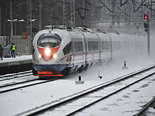 РЖД зафиксировали цены на "Сапсаны" из Москвы 31 декабря и 1 января