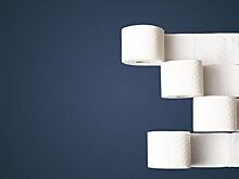 ФРГ может столкнуться с дефицитом туалетной бумаги на фоне газового кризиса