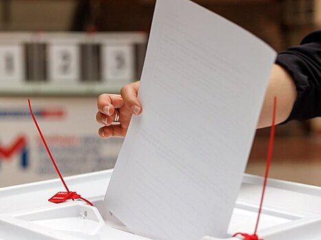 Зампред ЦИК рассказал, как пройдет голосование для иногородних в Москве