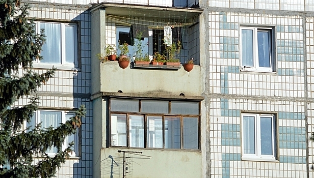 Кошки по соседству и только для женщин: найдены самые дешевые варианты жилья в Москве