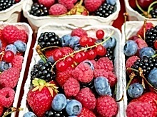 Семёнов: снижение НДС на плодово-ягодную продукцию повысит конкуренцию