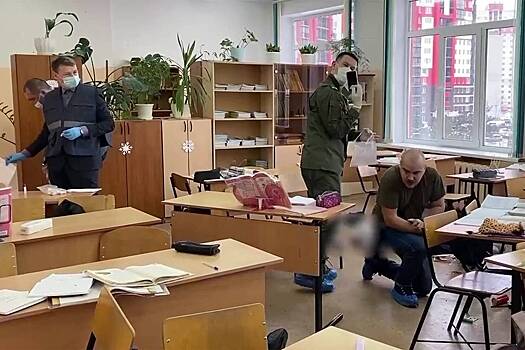Академик перечислил причины стрельбы в российских школах