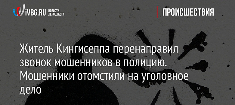 Житель Кингисеппа перенаправил звонок мошенников в полицию. Мошенники отомстили на уголовное дело