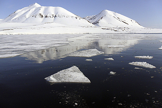 В МИДе рассказали об ожидании ответа от Норвегии по ситуации со Шпицбергеном