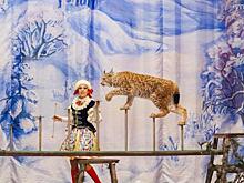 Санта, Дед мороз и веселые зверята в "Уголке Дурова"