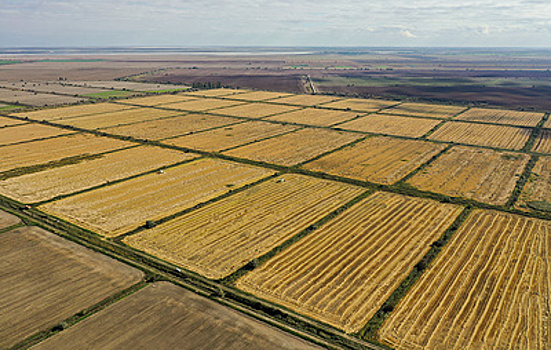 Неиспользуемые калужские поля выявляют при помощи космоснимков и ИИ