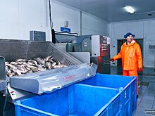 Салехардский комбинат в суде оспорит итоги проверки Россельхознадзора