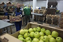 В Крыму построят несколько новых фруктохранилищ