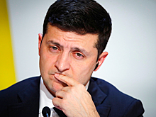 Во Франции призвали к отставке Зеленского из-за чествования нациста
