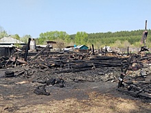 Пожар в частном доме под Тугулымом мог устроить сам погибший трехлетний мальчик