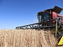 В Волгоградской области хлеборобы собрали три миллиона тонн зерна