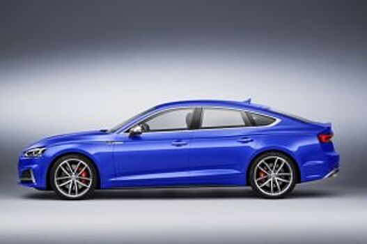 У петербурженки угнали дорогую иномарку во время отдыха на даче