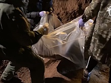 Тела в карьере и секретный свидетель: этапы дела преступной группировки Шишкана