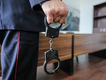 Житель Мурома пойдет под суд за "розыгрыш" мэра угрозой убийства