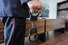 Житель Мурома пойдет под суд за "розыгрыш" мэра угрозой убийства