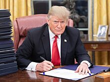 Трамп хотел купить Гренландию для Путина