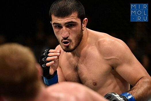 Рамазан Эмеев выступит на турнире UFC в Рио-Ранчо