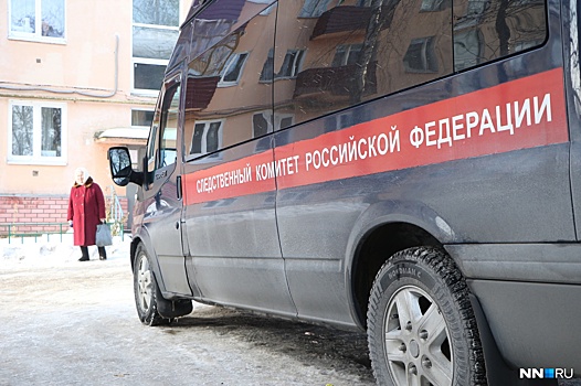 В Нижегородской области житель Таджикистана получил срок за изнасилование спящей тещи