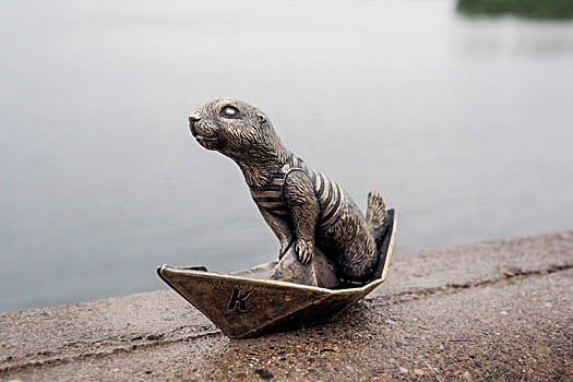 Светофор для сусликов установили в центре Красноярска