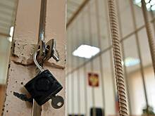 В российском регионе женщину осудят за расправу над своими детьми