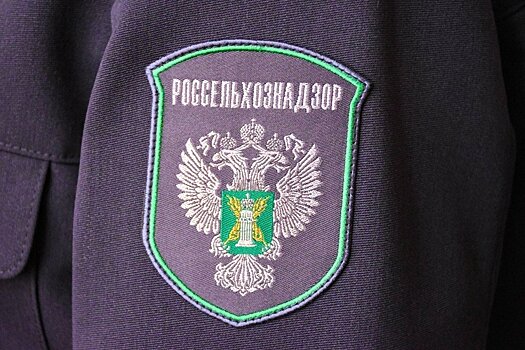 В Кировской области арендатор сельскохозяйственных земельных участков допустил их зарастание