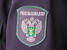 В Кировской области арендатор сельскохозяйственных земельных участков допустил их зарастание