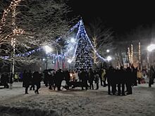 Все спокойно. Итоги новогодних каникул подвели в Дубне