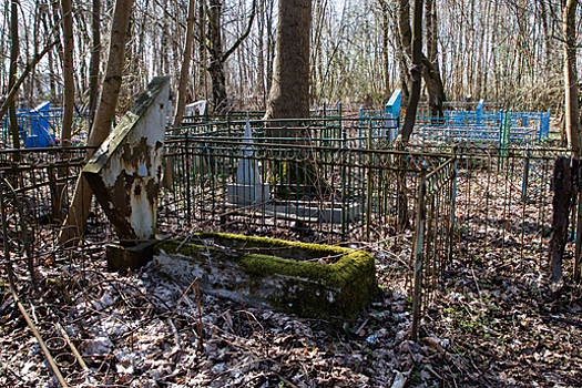 "Не только скорбь и память": как превратить калининградские кладбища в места для прогулок
