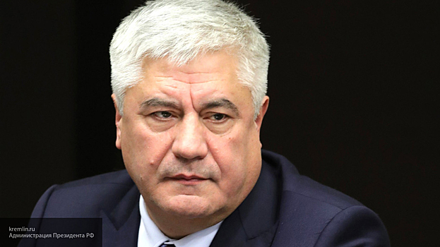 Глава МВД считает справедливым приговор Ефремову