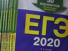 Школьник из Костромы сдал ЕГЭ на 400 баллов