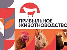 Ведущие производители и поставщики встретятся на выставке «Прибыльное животноводство»
