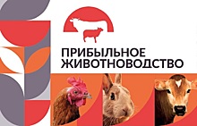 Ведущие производители и поставщики встретятся на выставке «Прибыльное животноводство»