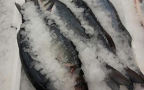 В Курской области снято с продажи 28 партий некачественной рыбы