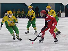 Игроки хоккейного «Енисея» всухую обыграли «Водник» 