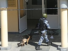 СК РФ подготовил рекомендации по расследованию массовых убийств в школах