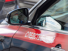 СК ОСПОРИТ ПРИГОВОР ПОДЕЛЬНИКАМ ПОГИБШЕГО МИГРАНТА ПОД НОВОСИБИРСКОМ: ПОРУЧЕНИЕ БАСТРЫКИНА