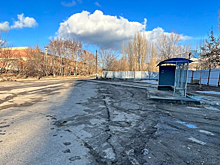 Жители Лопатиной горы ходят на остановку мимо опасной промзоны и бездомных собак из-за отказа маршрутки ездить по графику