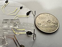 Новый портативный прибор выявит редкие генетические мутации за 10 минут