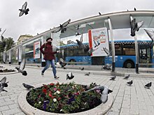 Автобусная сеть "Магистраль" меняет маршруты