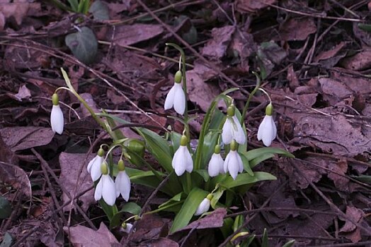Младшеклассники из района Аэропорт поговорили об экологии